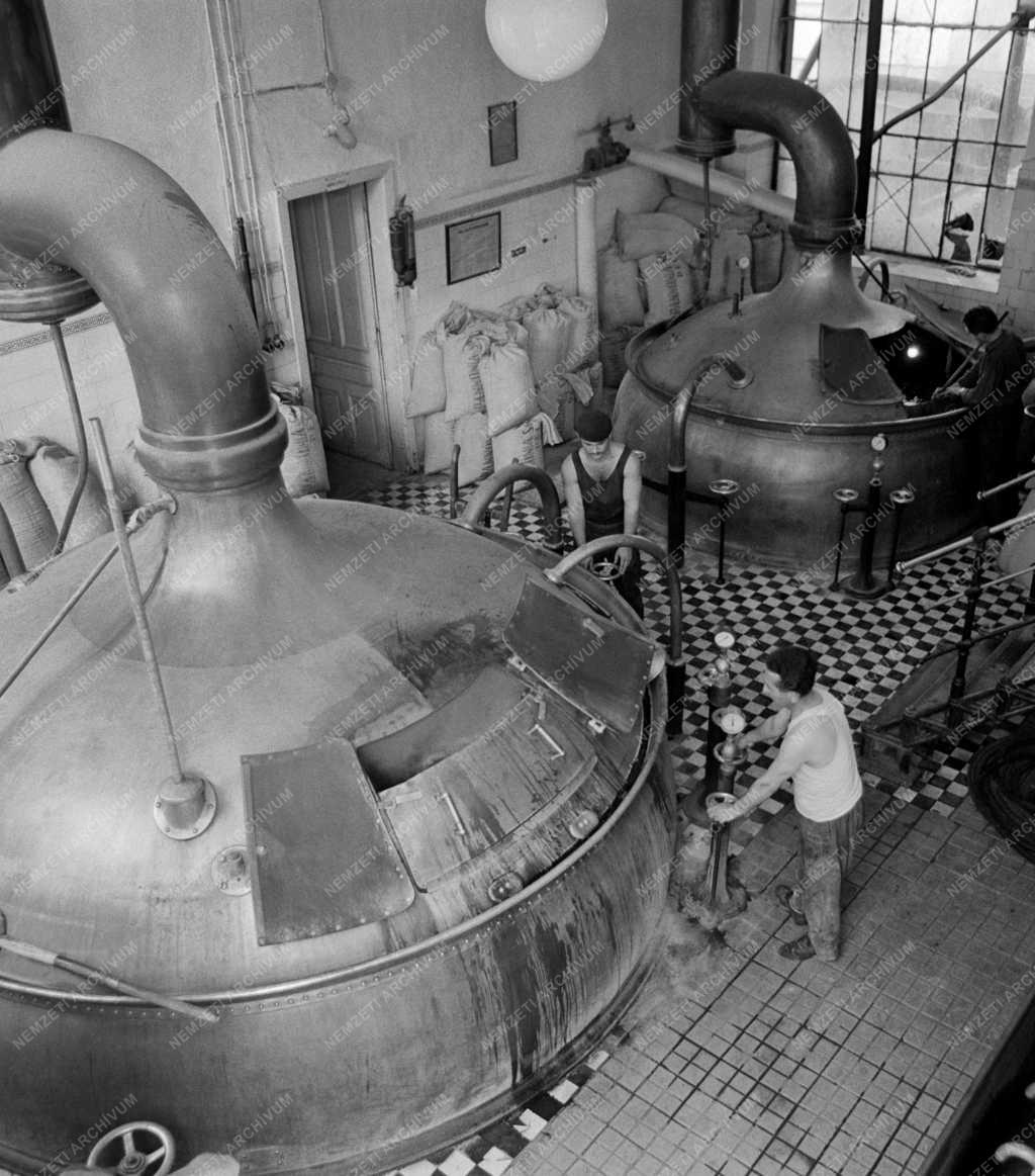 Élelmiszeripar - Fejlesztés a pécsi Pannónia Sörgyárban