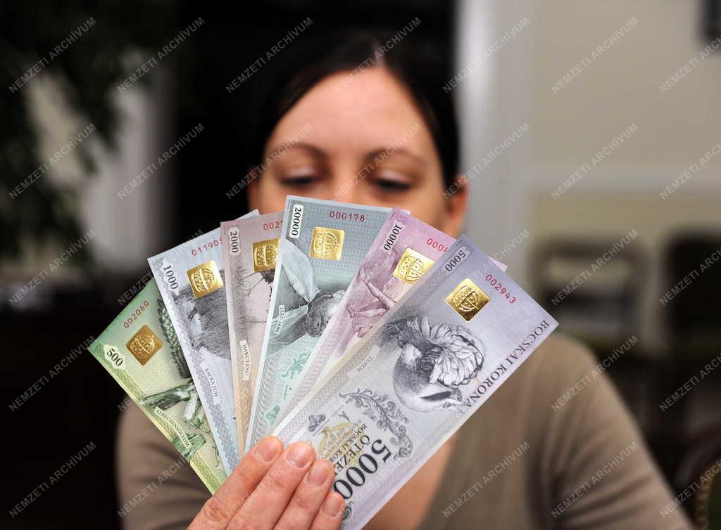 Kereskedelem - Helyi fizetőeszköz - Bocskai Korona