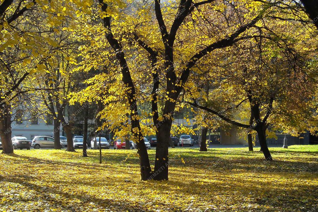 Természet - Városkép - Ősz a tabáni parkban