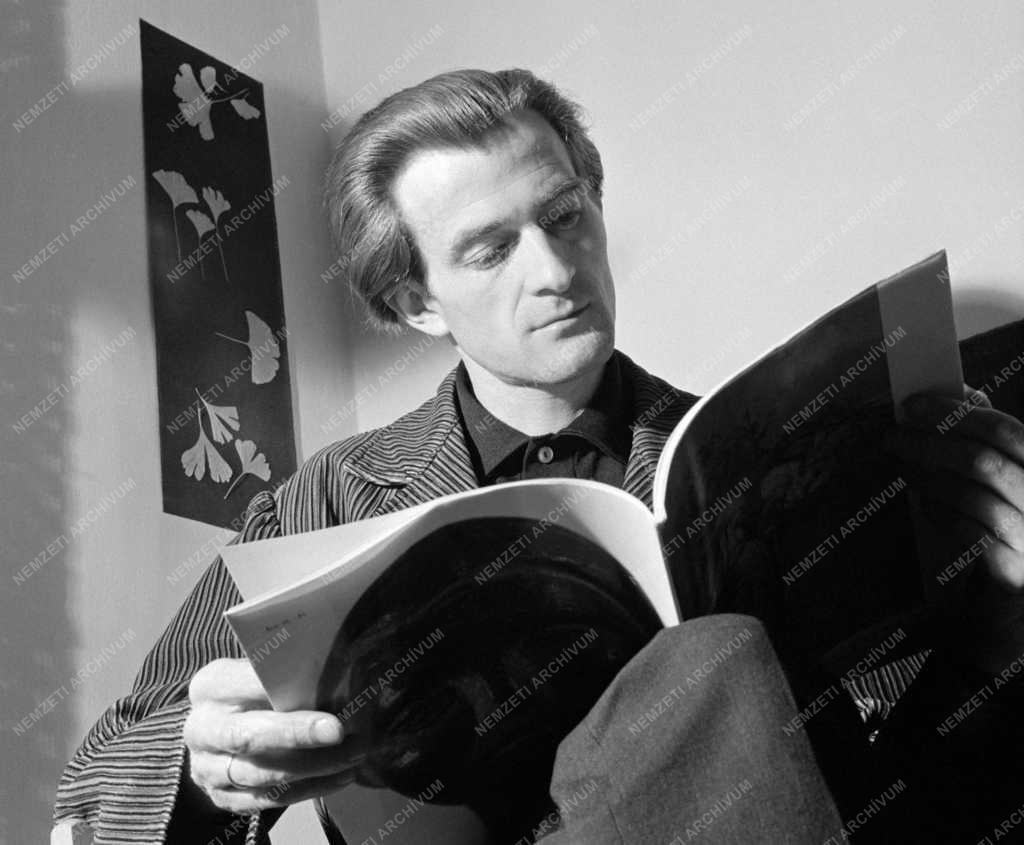 Művészet - Szűcs Árpád festőművész