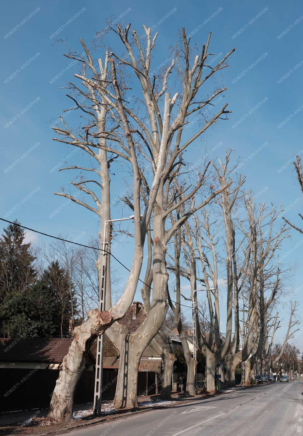 Városkép - Budapest - Római-part