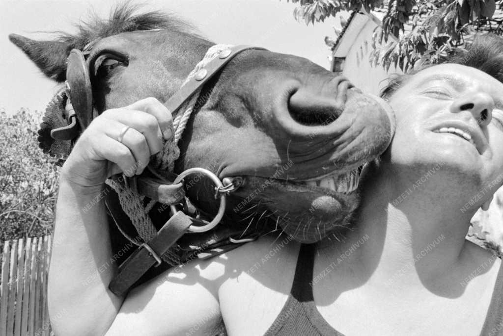 Életvitel - A Helvécia-Matkópusztai tanyavilág