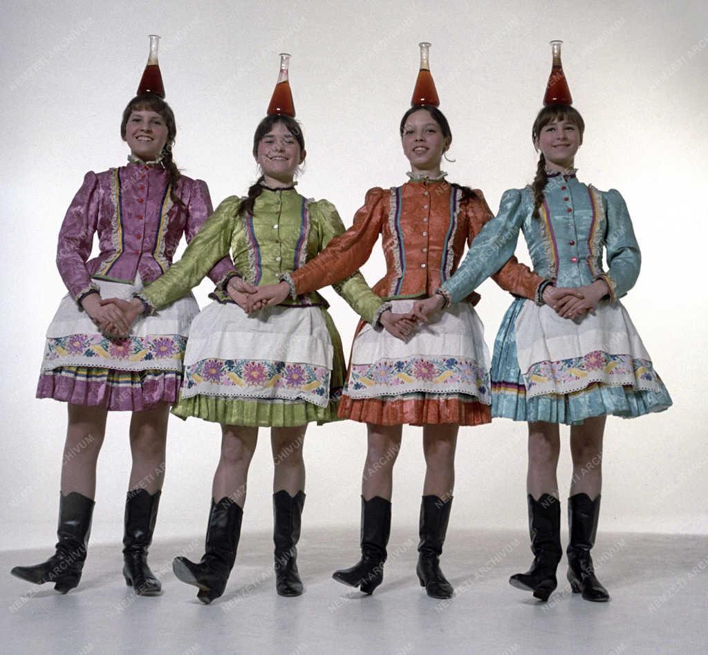Kultúra - Néphagyomány - Népi táncegyüttes