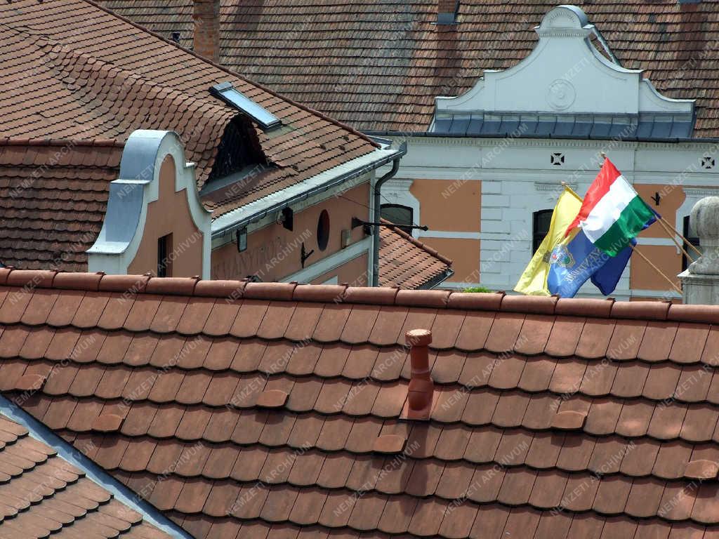 Jelképek - Szentendre - Zászlók közintézmény épületén