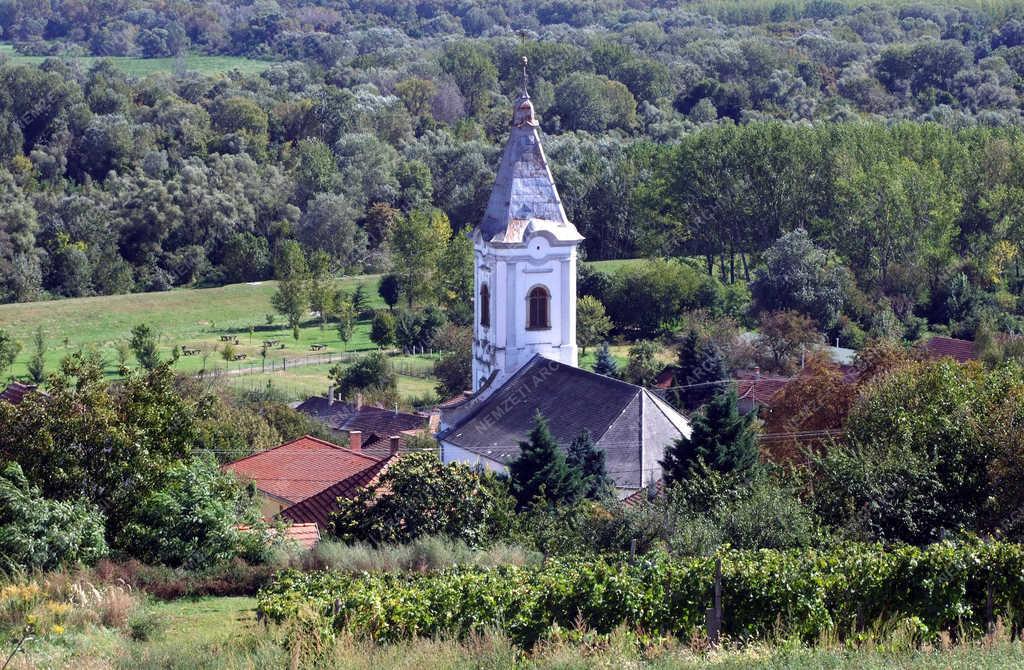 Tájkép - Bodrogkeresztúr - A település református temploma természeti környezetben
