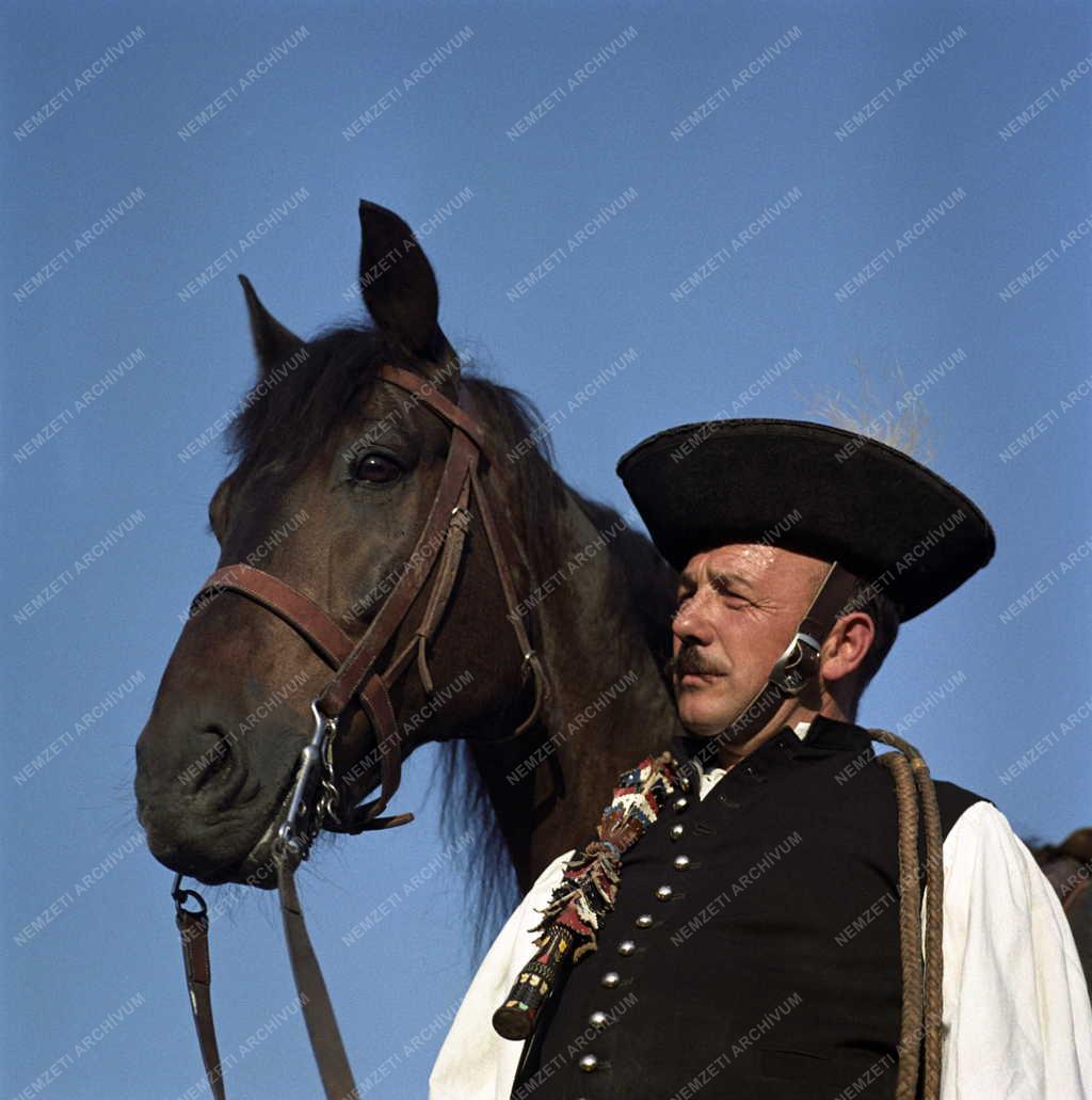 Foglalkozás - Hódi Sándor csikós