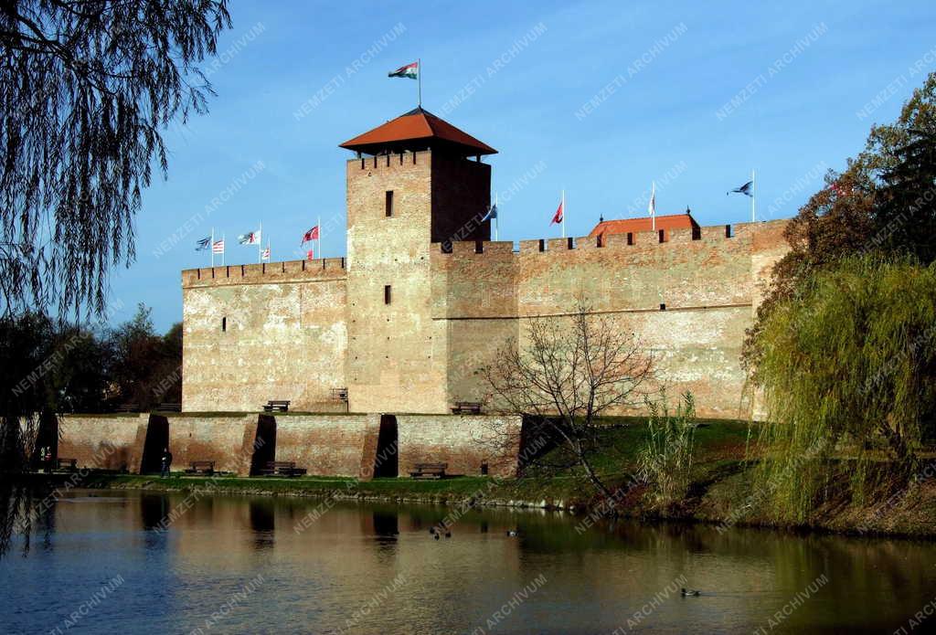 Épület - Gyula - A gyulai vár 