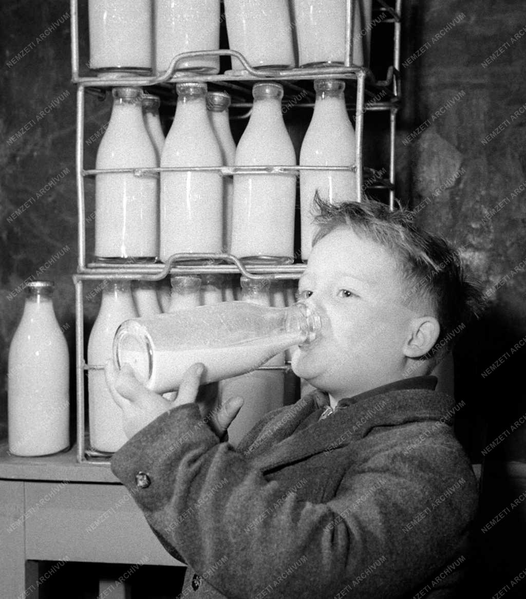 Élelmiszeripar - Tejpalackozó üzem Szegeden