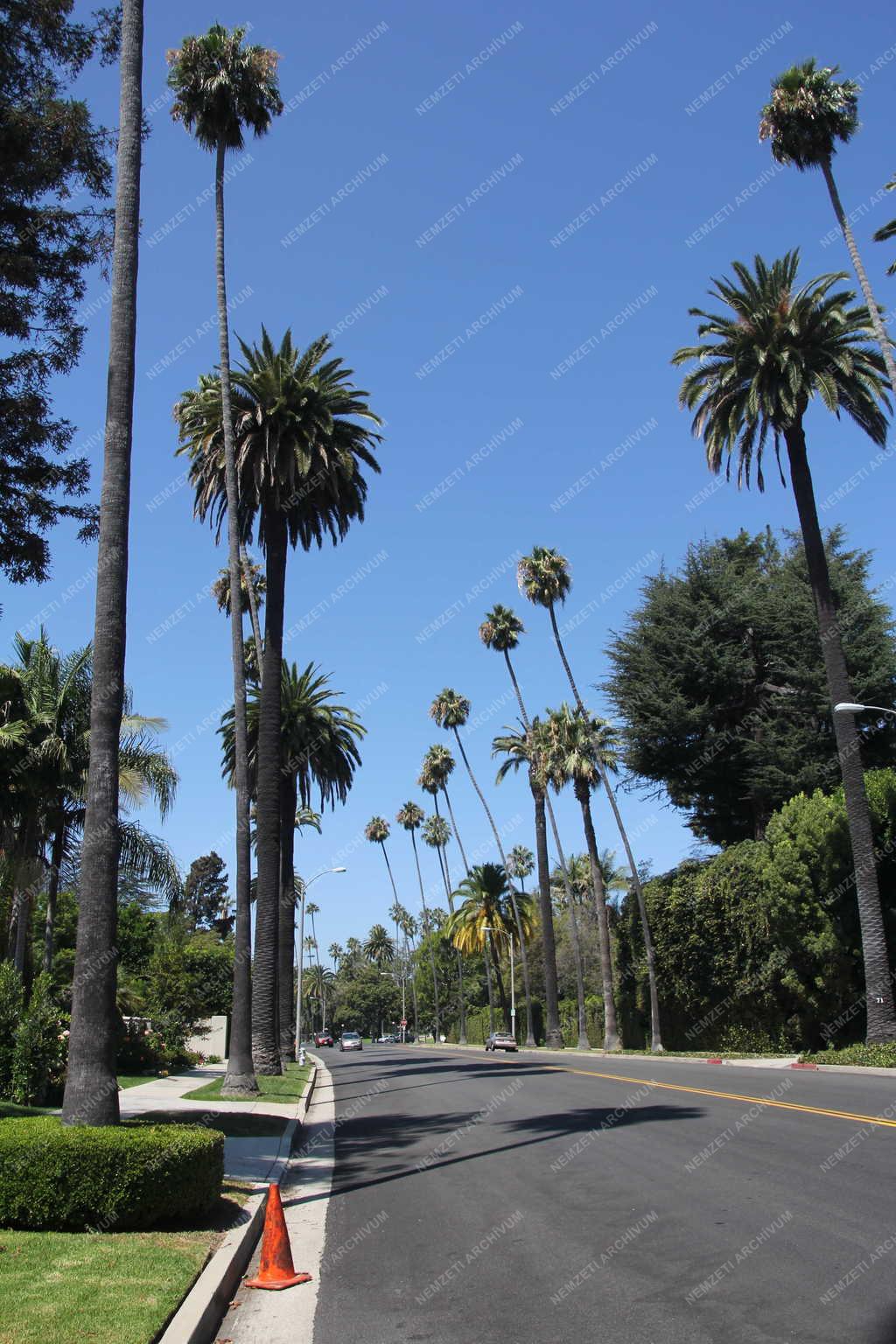 Városkép - Beverly Hills