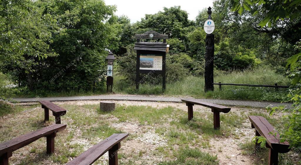 Természetvédelem - Budapest - Sas-hegy tanösvény