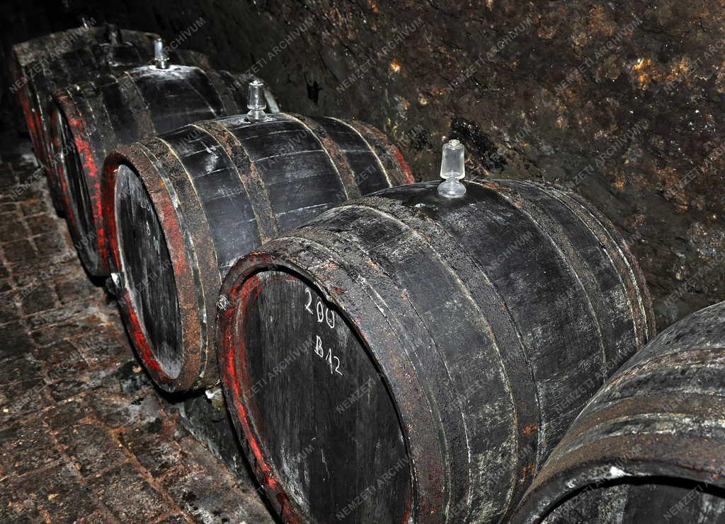 Borászat - Tokaj - Tokaji borospince