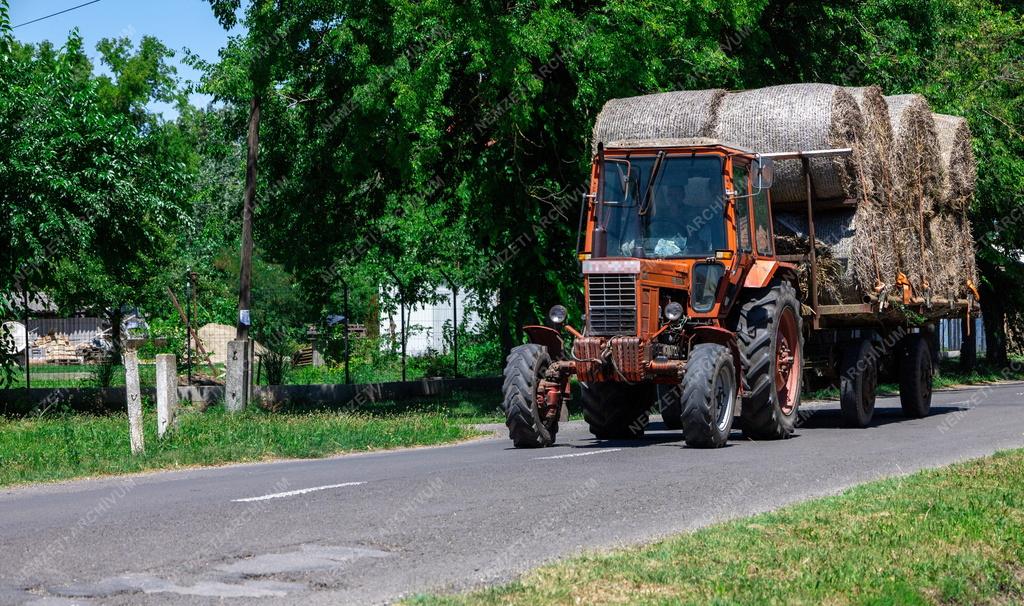 Mezőgazdaság - Szénabála