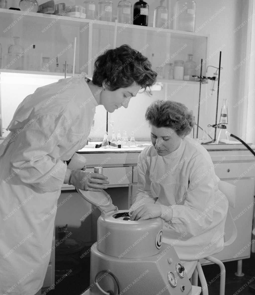 Tudomány - MTA Talajtani és Agrokémiai Kutató Intézet