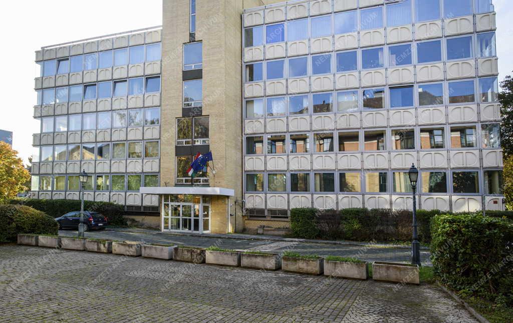 Közigazgatás - Rehabilitációs Ellátási és Szakértői Főosztály