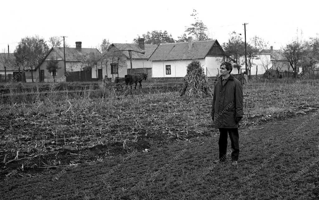 Kultúra - Személy - Fejér Csaba önálló kiállításra készül