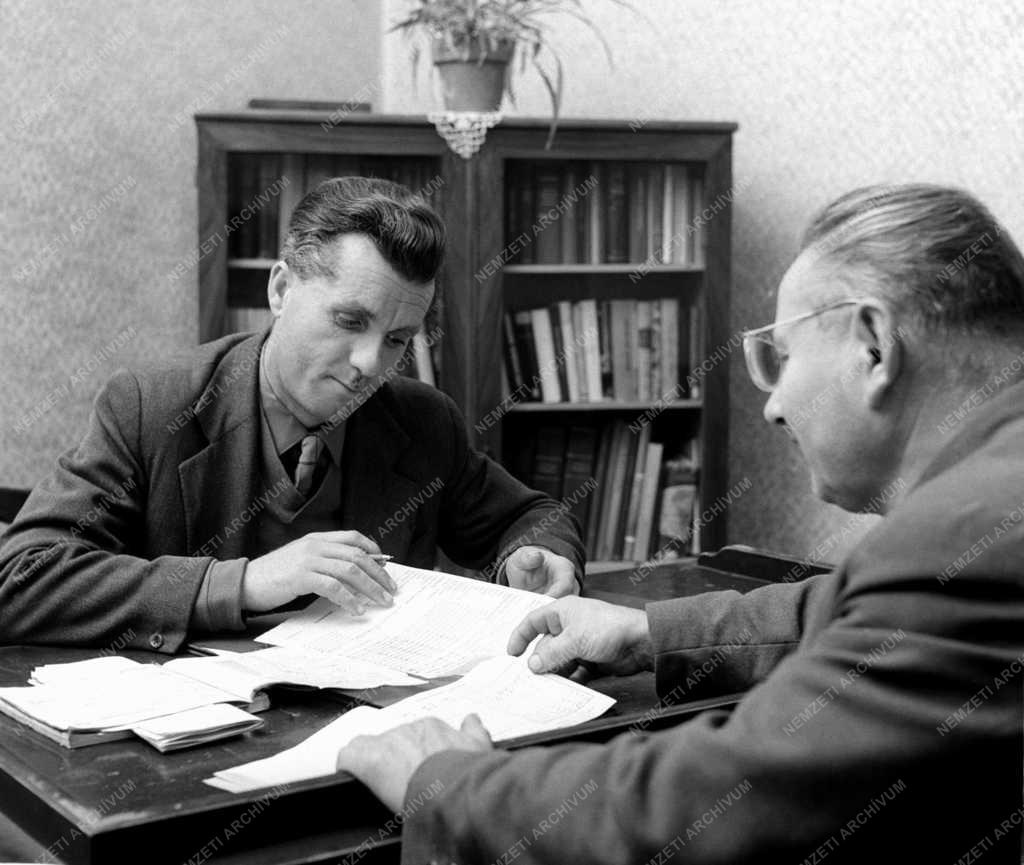 Mezőgazdaság - Küzdenek az esővel és a sárral Somogyban