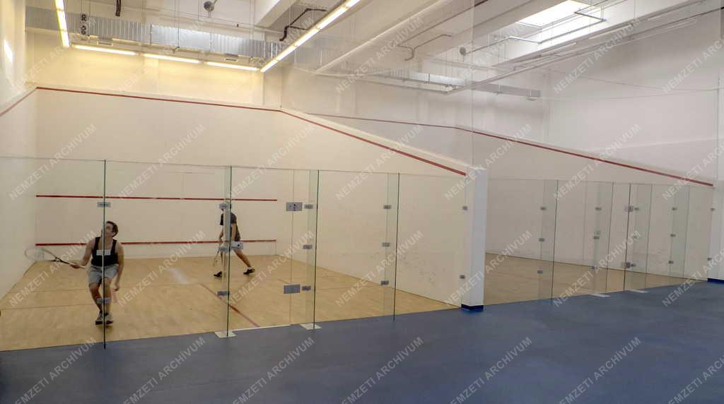 Sportlétesítmény - Budapest - A lágymányosi Tüskecsarnok