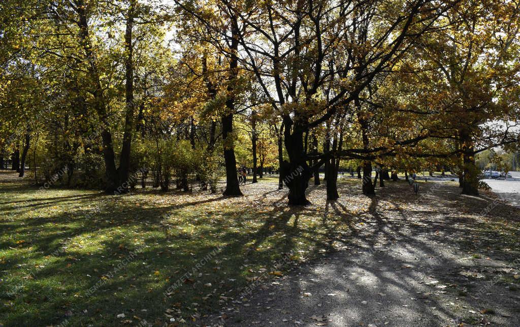 Természet - Budapest - Őszi Népliget 