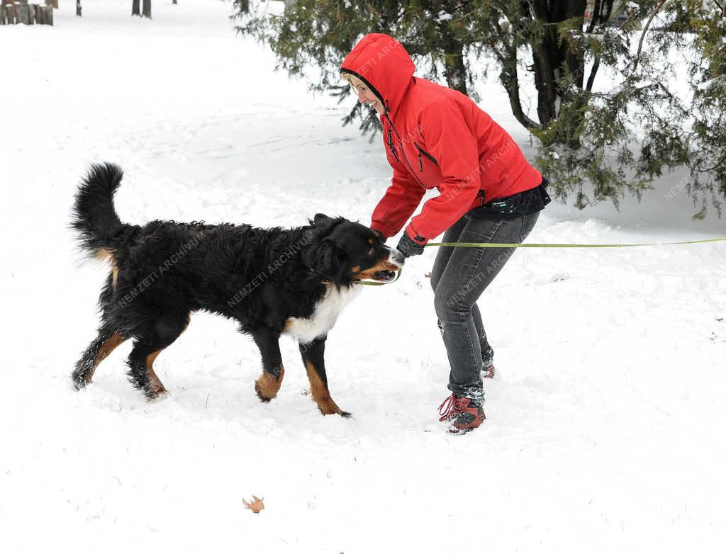 Időjárás - Debrecen - Szánkózás márciusban 