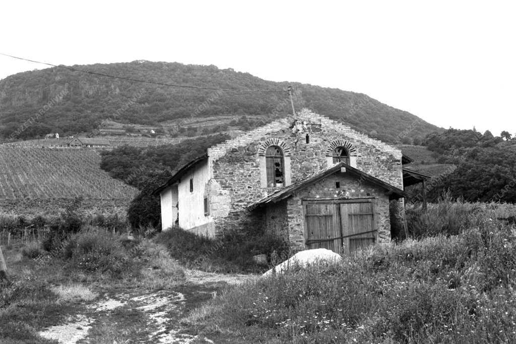 Tájkép - Badacsony