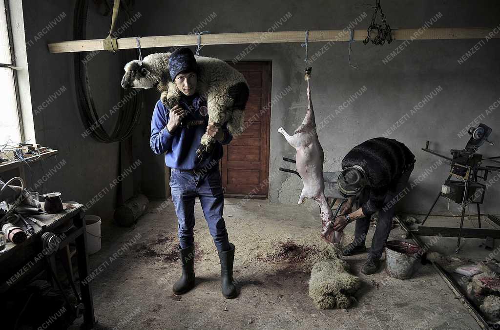 36. Magyar Sajtófotó Pályázat - Kerekes M. István