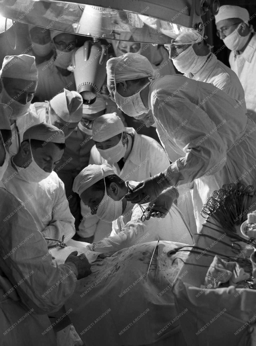 Egészségügy - Műtét a Koltói Anna klinikán