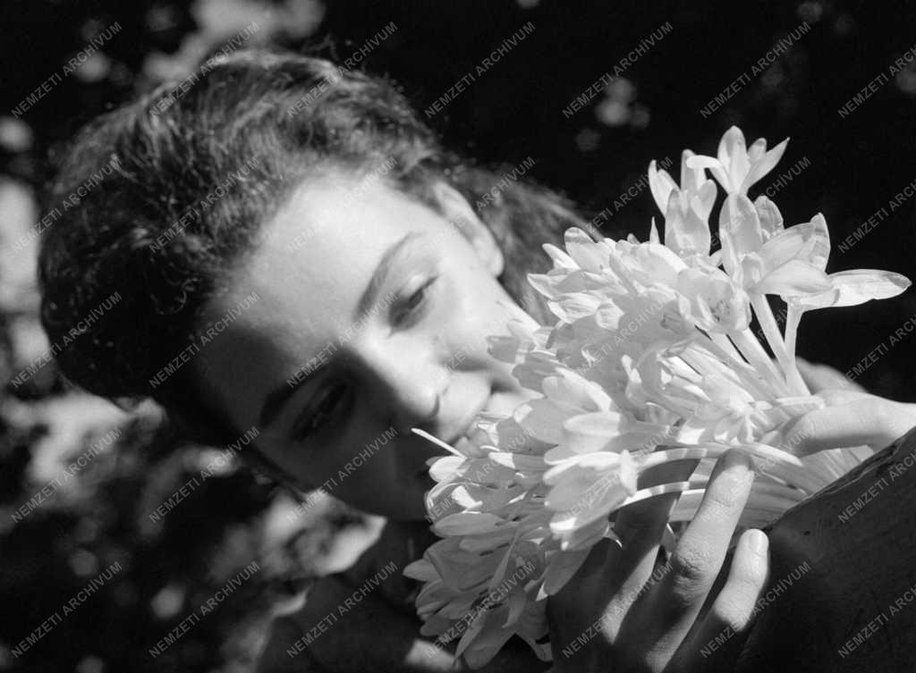 Természet - Virít az őszi kikerics