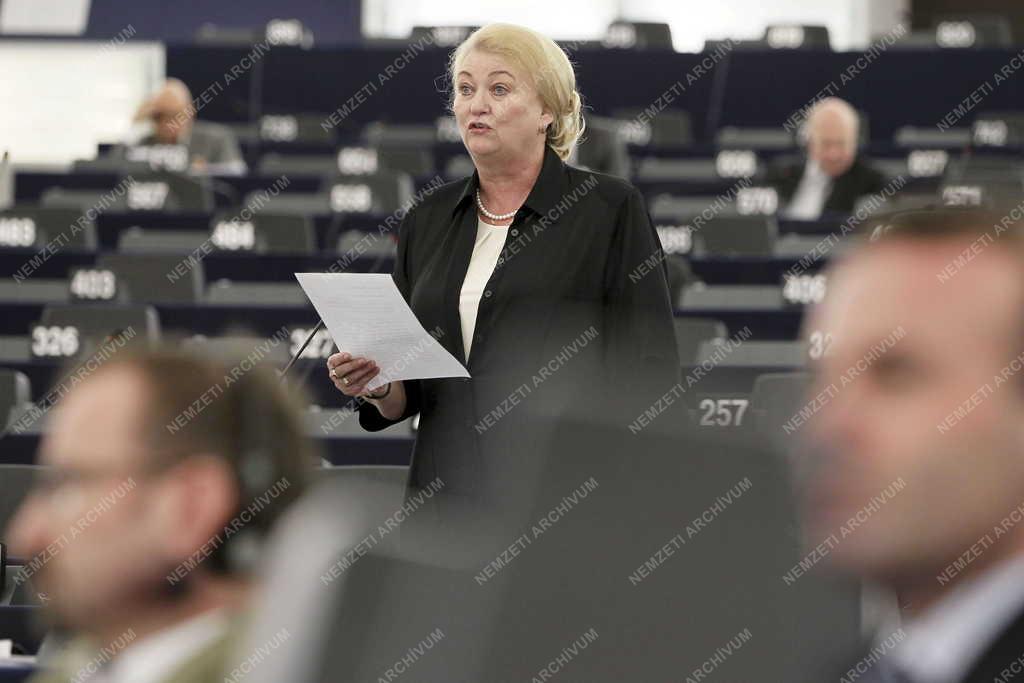 Az Európai Parlament plenáris ülése
