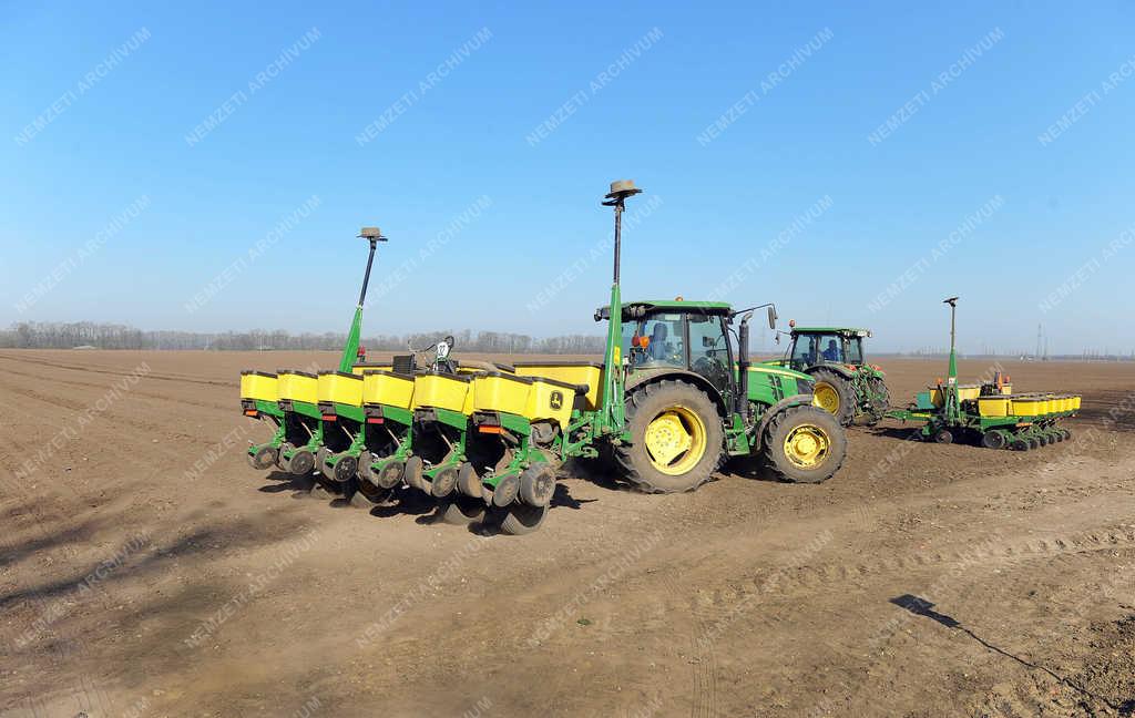 Mezőgazdaság - Debrecen - Kukorica vetés