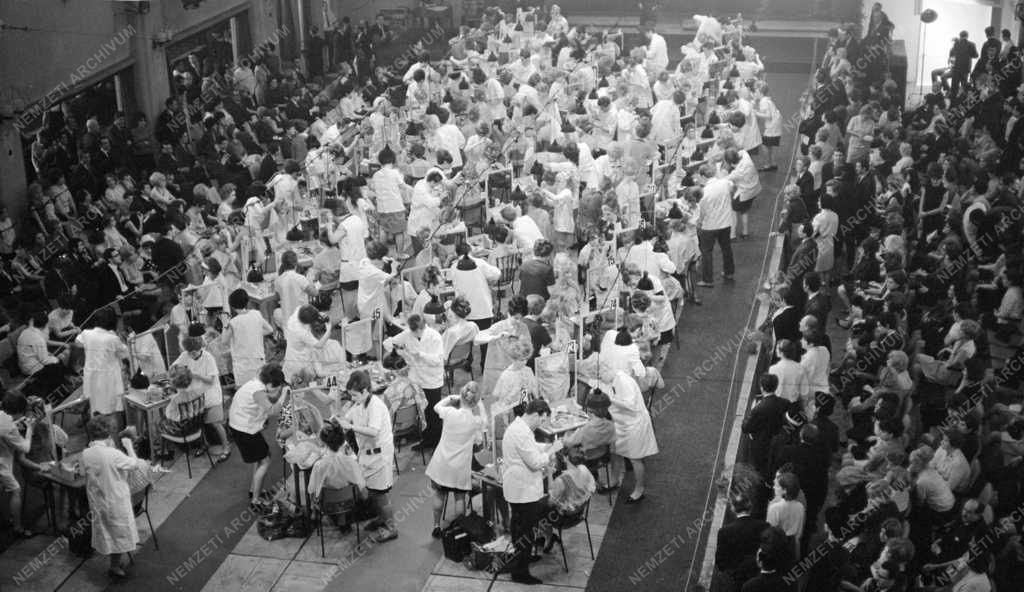 Kultúra - Fodrászverseny