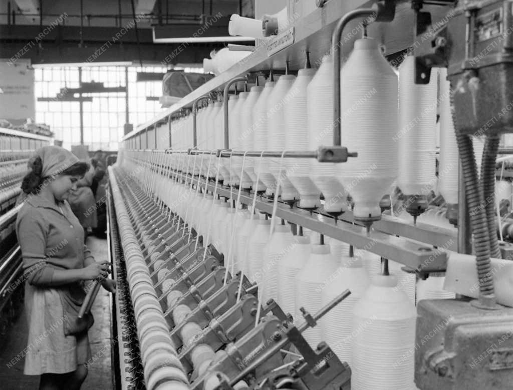 Ipar - Újfajta műszál a Pamutnyomóipari Vállalat újpesti gyárából
