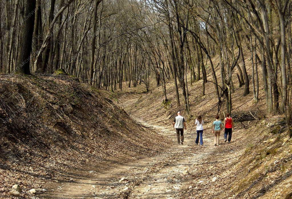 Természet - Turisták 