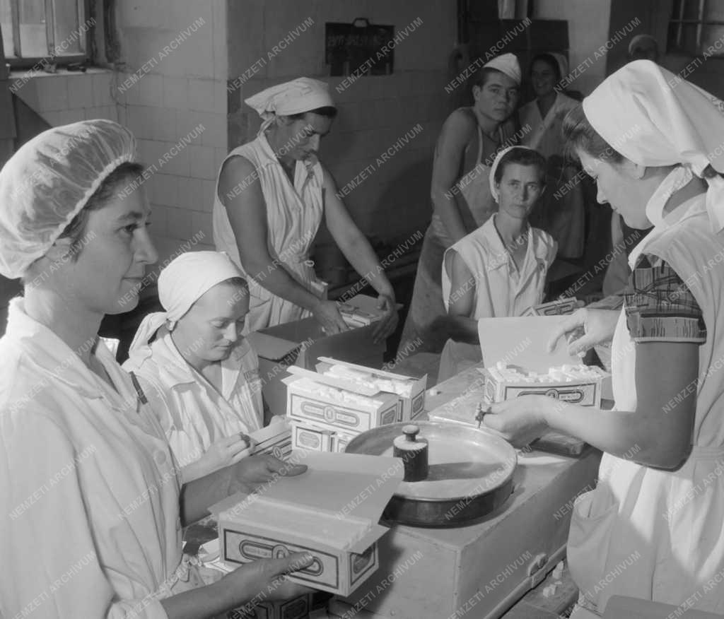 Élelmiszeripar - Kockacukorgyártás a Szerencsi Cukorgyárban