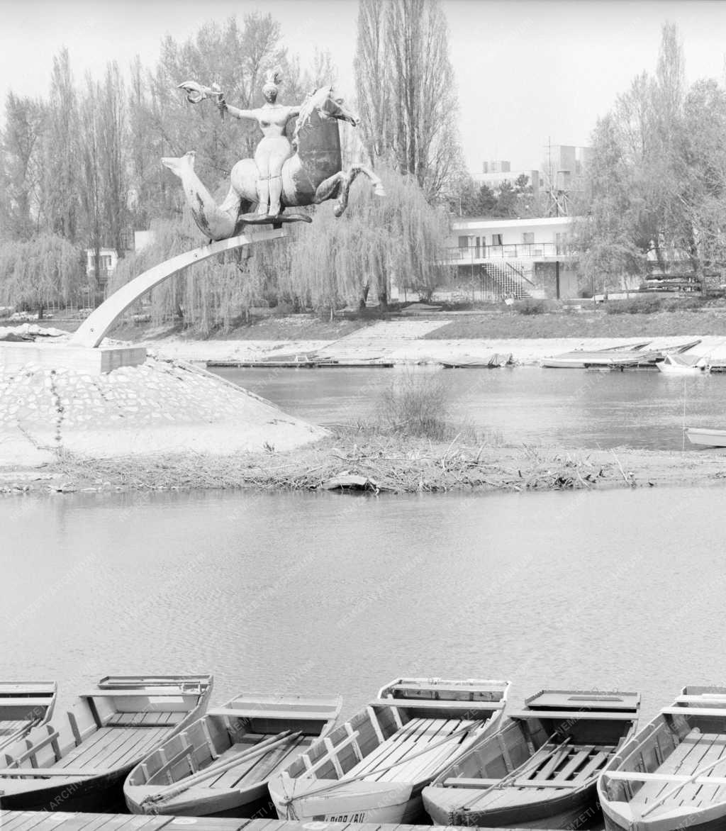 Természet-környezet - Vízicsikó Győrnél