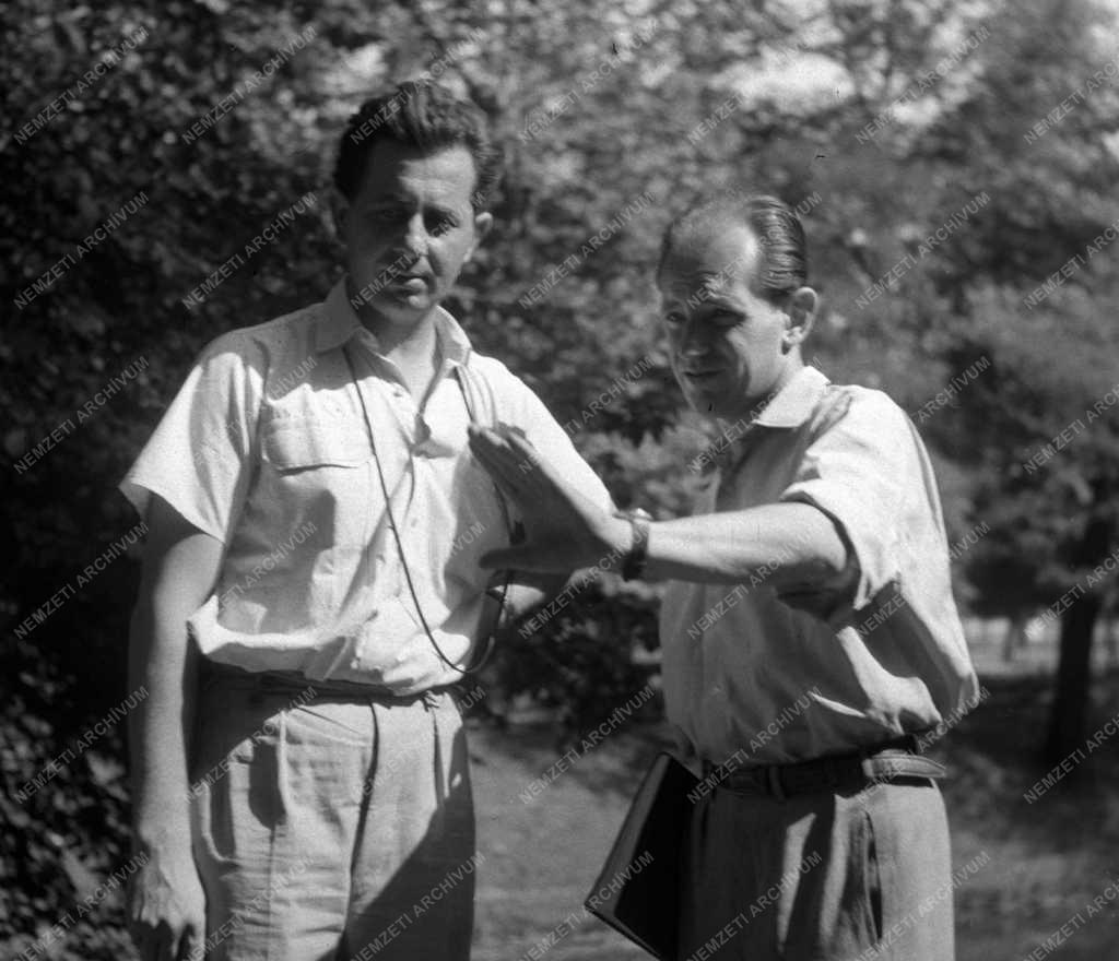 Kultúra - Filmművészet - A 