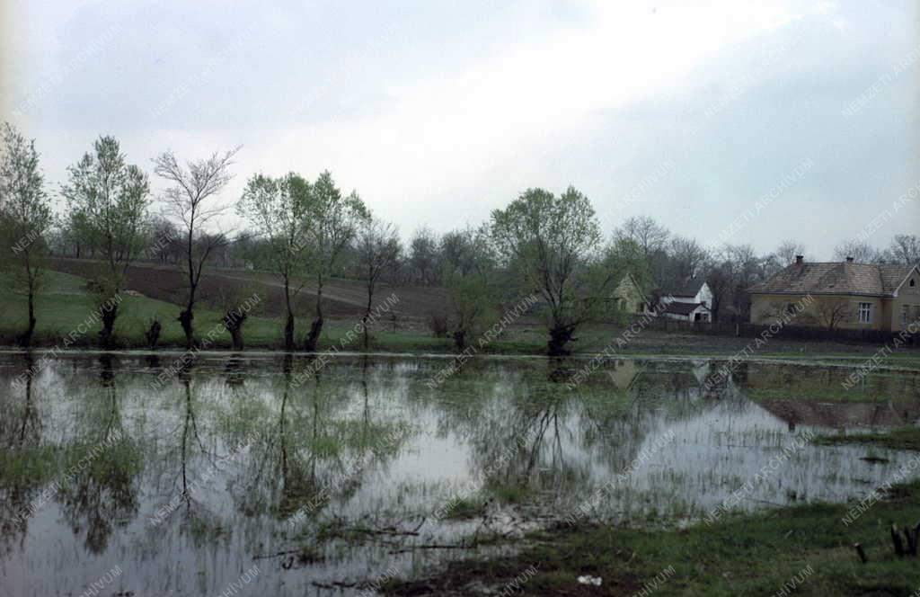 Természet - Tájkép