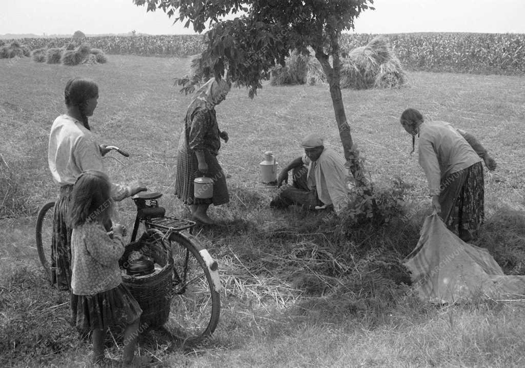 A szerző válogatása - Kepes János egyéni gazda