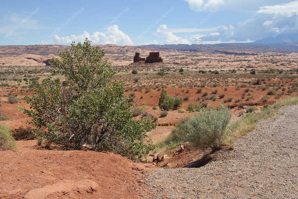 Tájkép - Bryce Canyon Nemzeti Park látképe