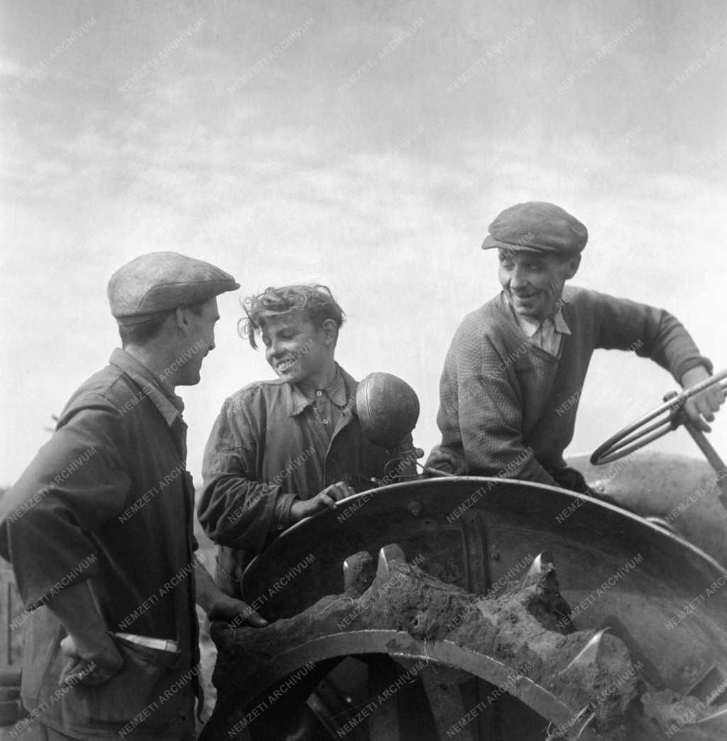 Alma és szőlőszüret
