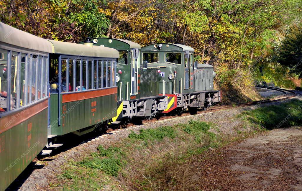 Közlekedés - Turizmus - Királyréti Erdei Vasút