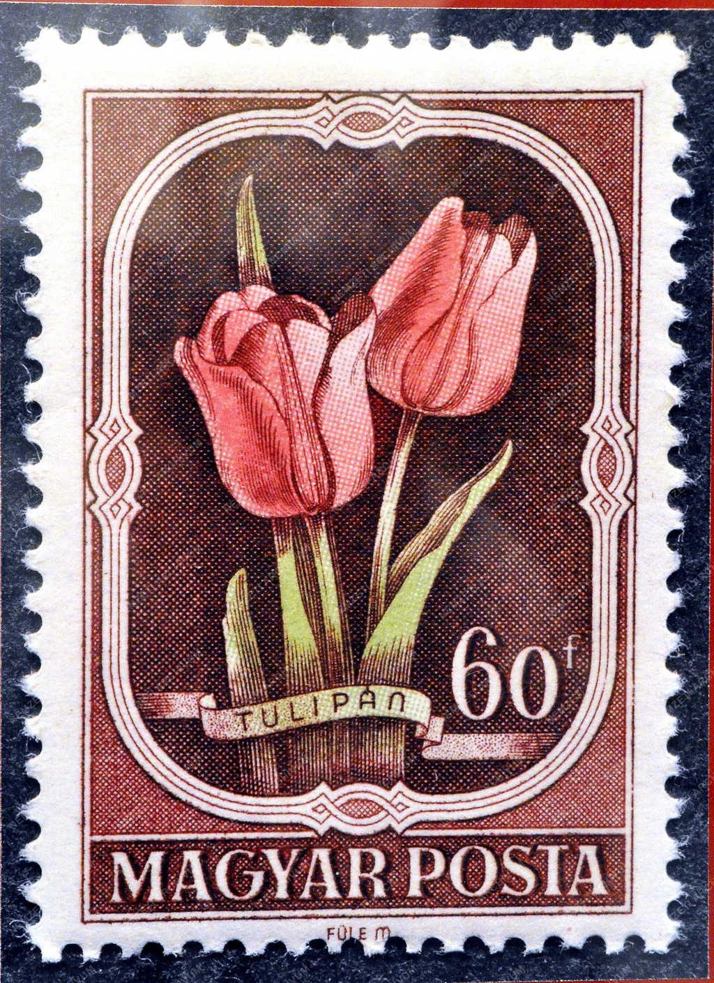 Kultúra - Cegléd - Füle Mihály életmű-kiállítása 