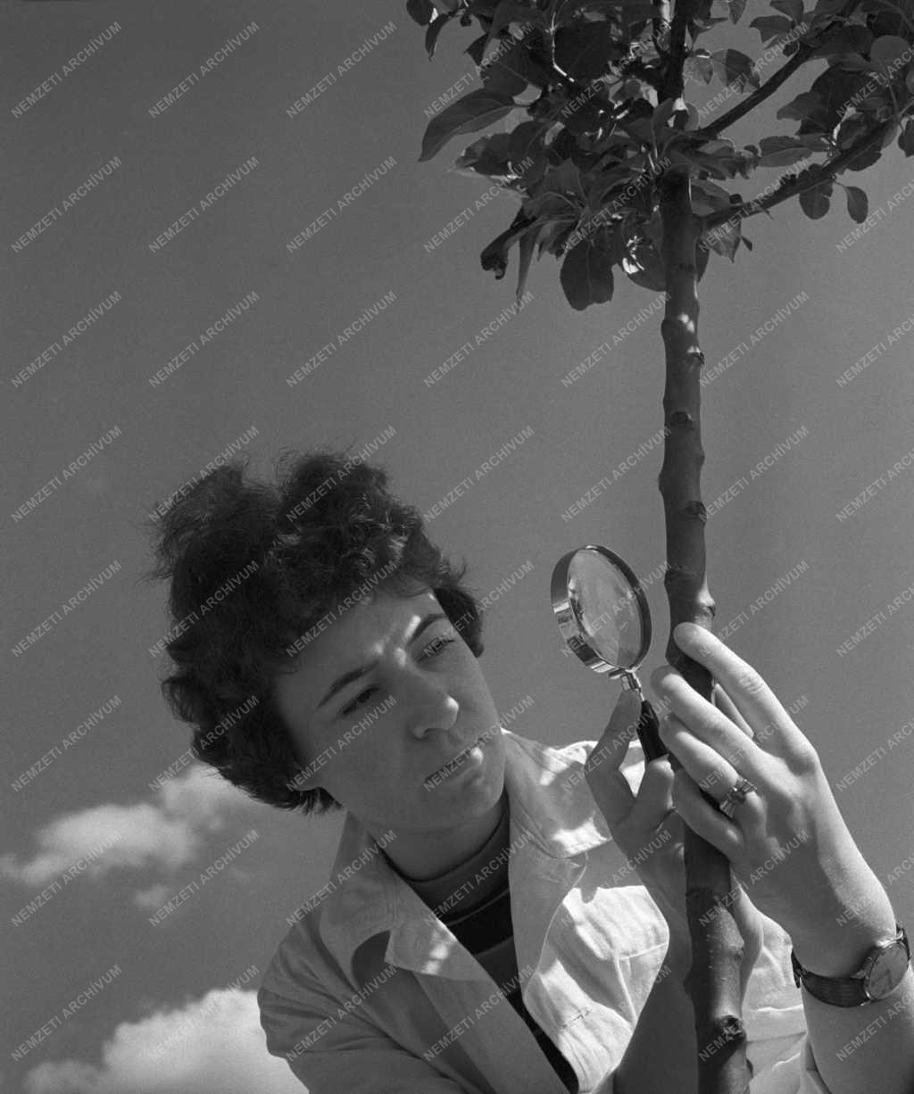 Mezőgazdaság - Velencei Növényvédő Állomás