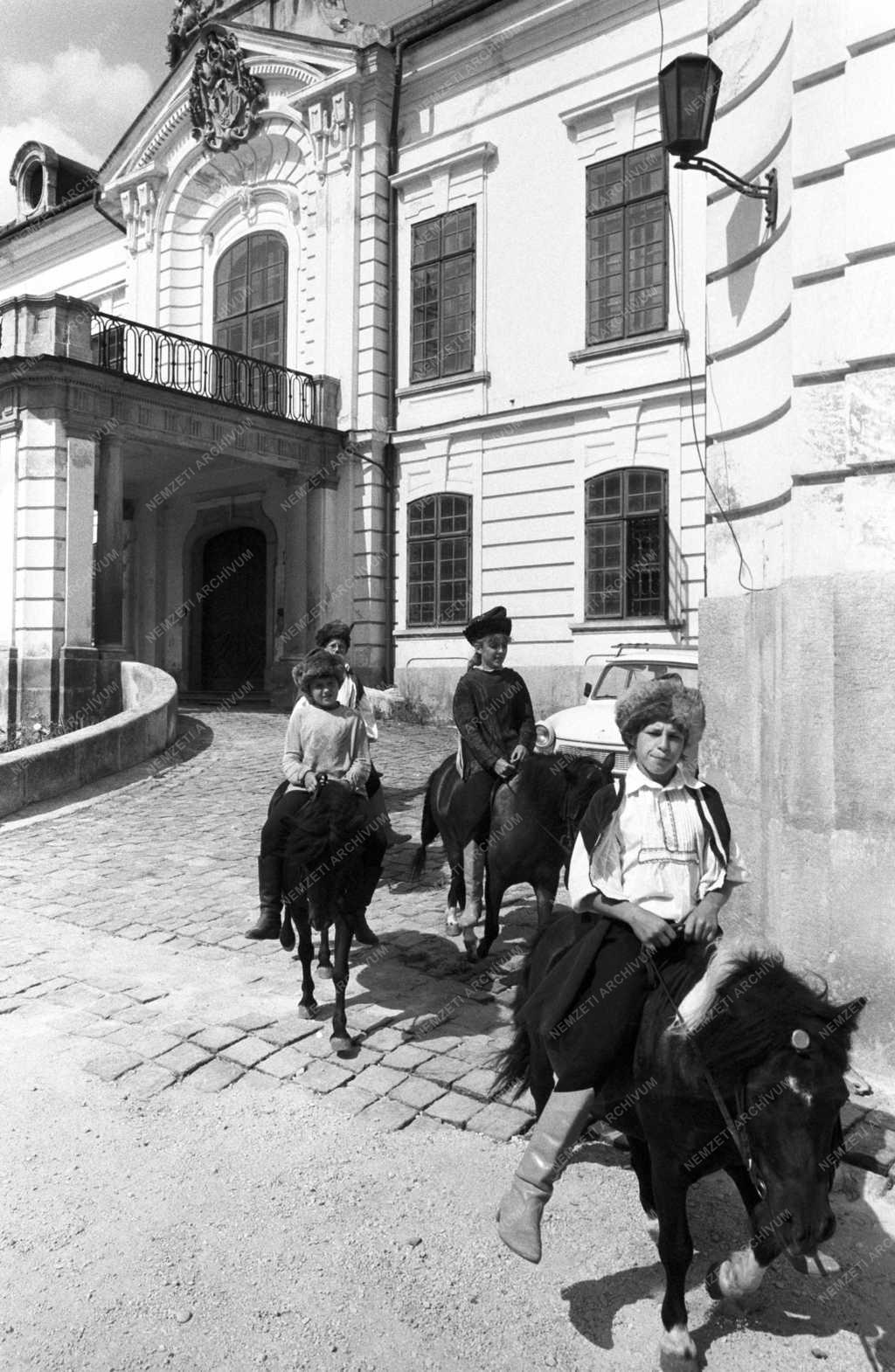 Kultúra - Reneszánsz nap Veszprémben