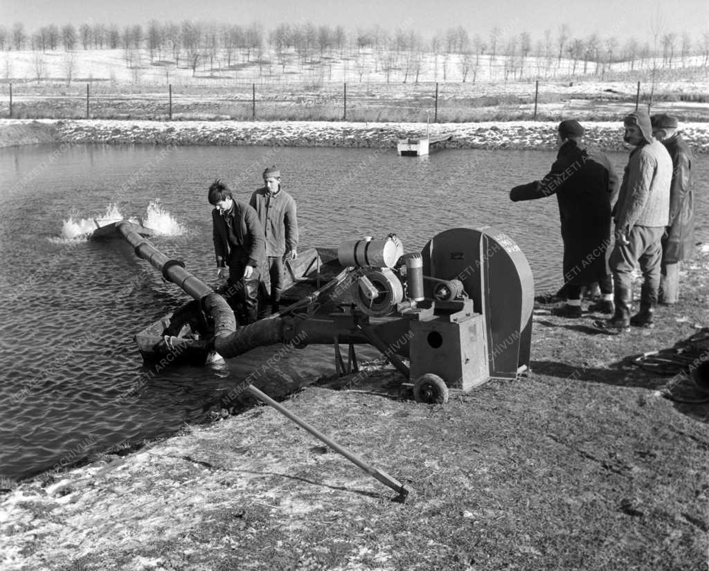 Halászat - Kísérletek a víz oxigénhiányának megszüntetésére