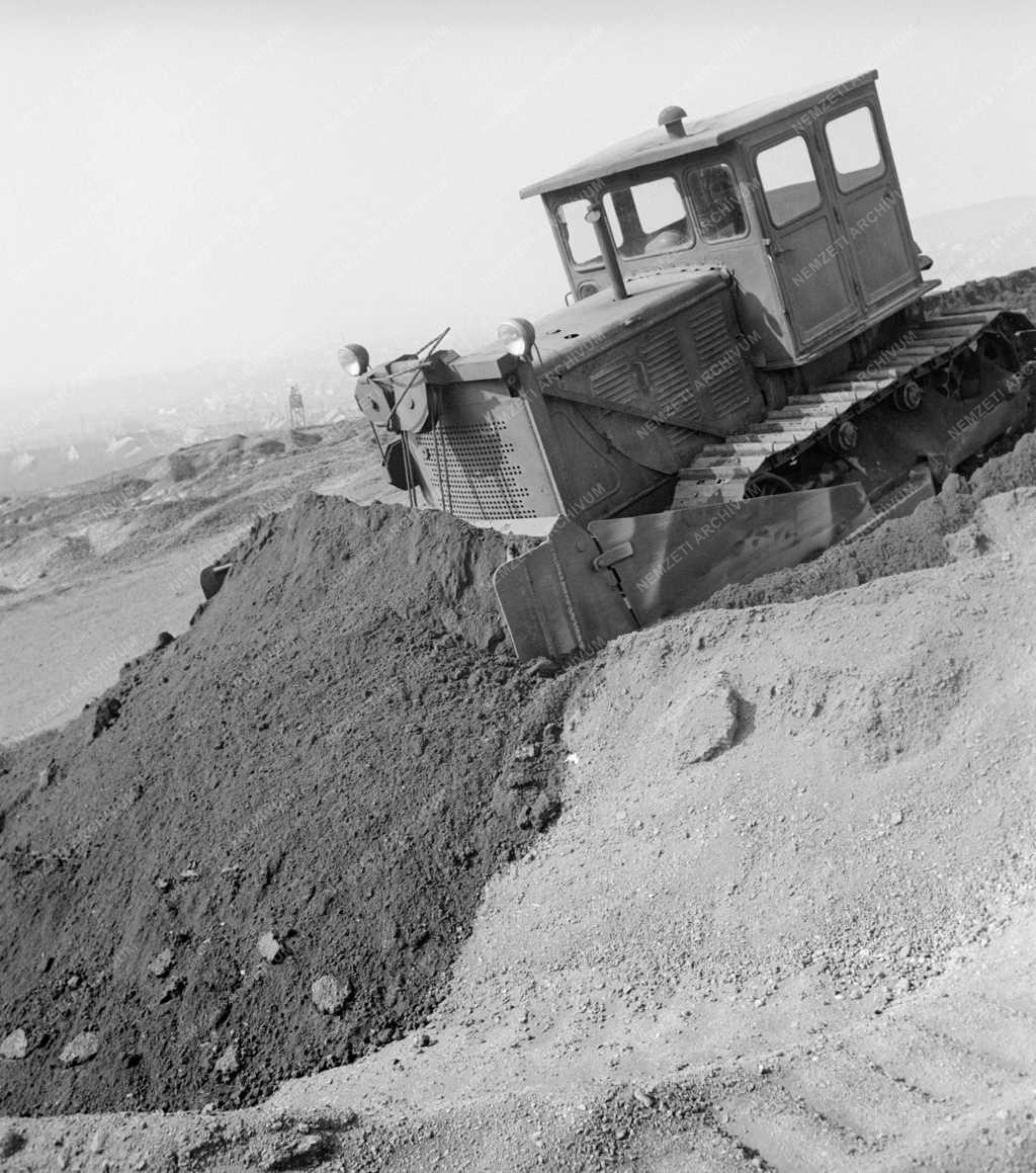 Környezetvédelem - Növényzettel telepítik be a pécsi salakhegyet