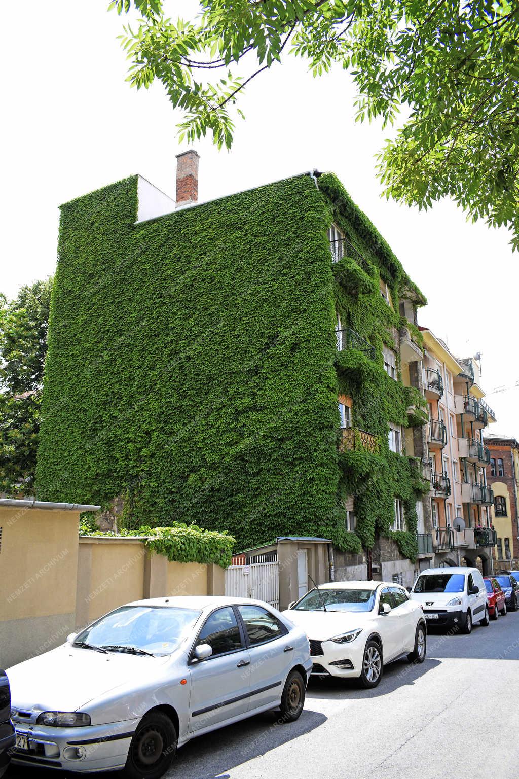 Épületfotó - Budapest - Kitabiel Pál utca