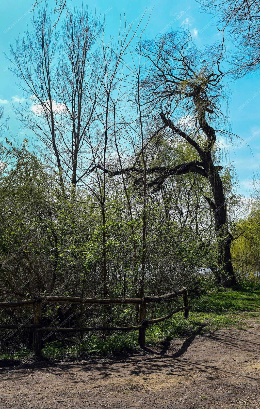 Tájkép - Vekeri-tó