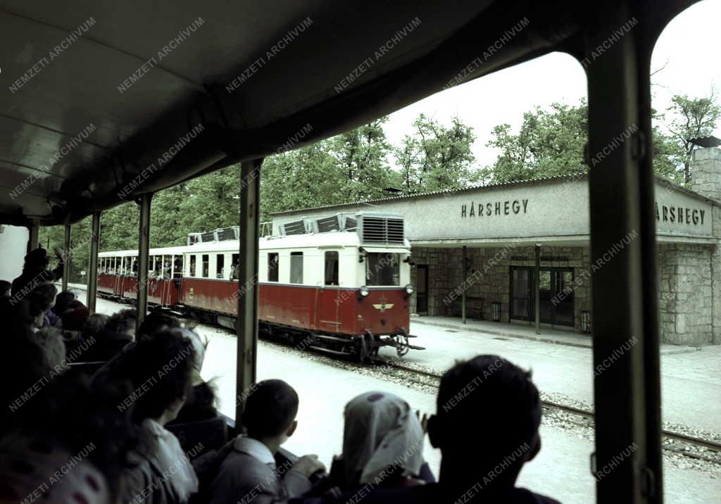 Közlekedés - Úttörővasút