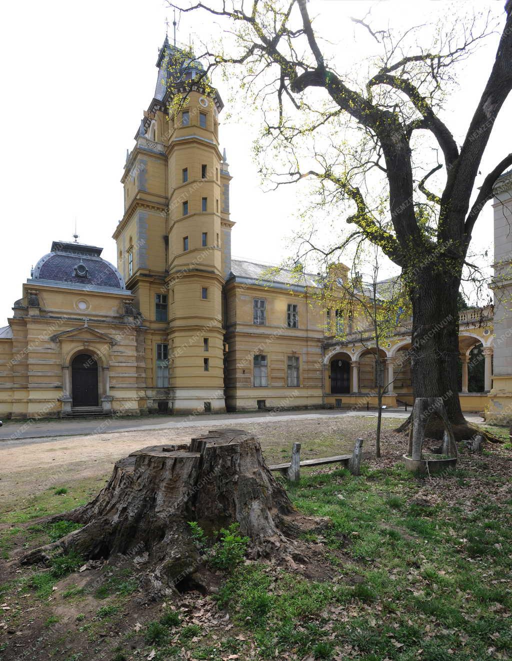 Városkép - Szabadkígyós - Wenckheim kastély