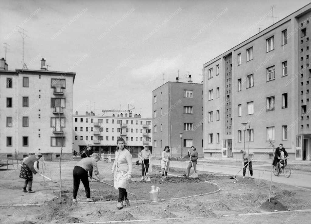 Településfejlesztés - Lakótelep épül a debreceni Új Élet parkban